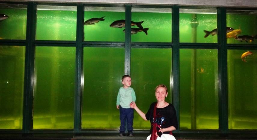 Днепропетровск – аквариум пресноводных рыб