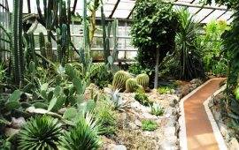 Ботанический сад - Запорожье