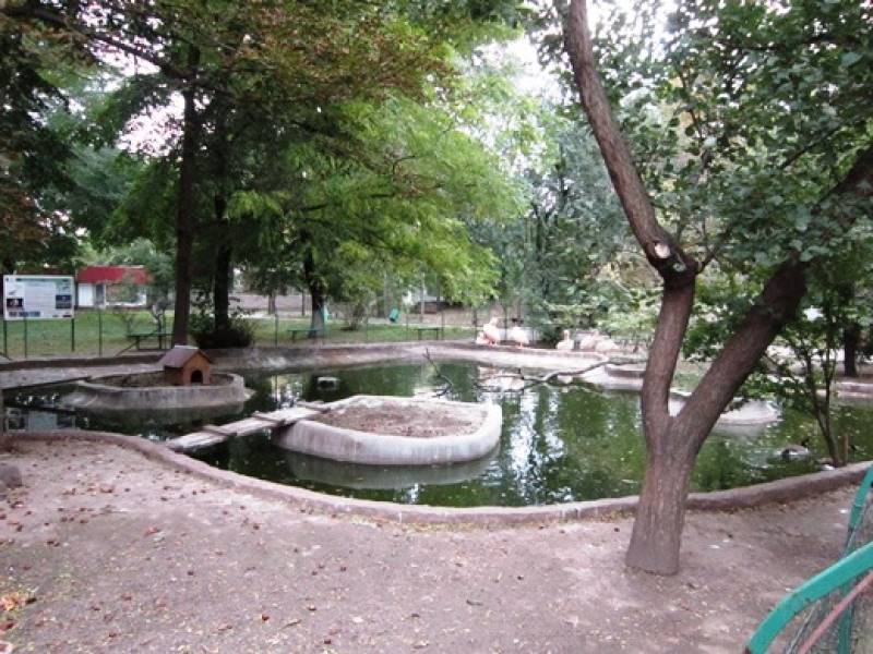 Одесский зоопарк