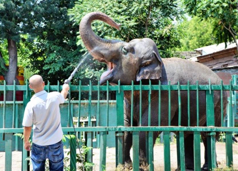 Одесский зоопарк