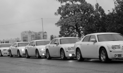 Самые белые свадебные автомобили Киева (2018)