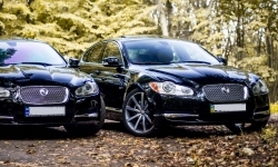 Jaguar (черный) - 2 одинаковых